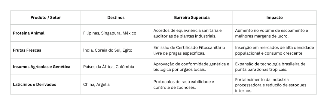 GRAFICO