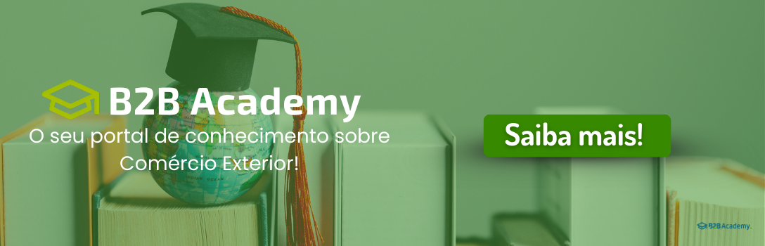 B2B Academy: Portal de Conhecimento