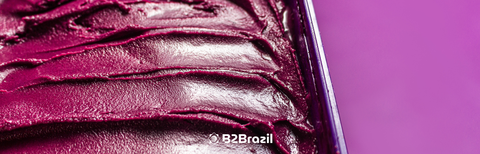 Exportação de Açaí: Container Refrigerado e Logística Chave