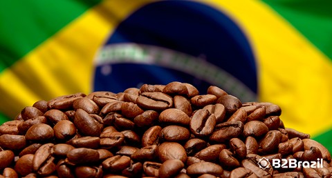 Domine a Exportação de Café: Guia Estratégico para Empresas Brasileiras