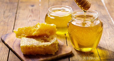 O mercado do mel brasileiro