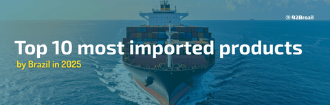 Top 10 Most Imported Products by Brazil