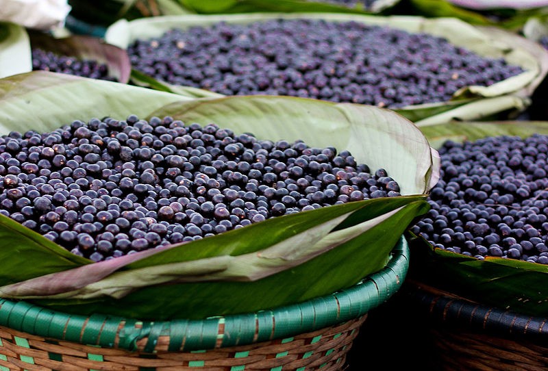 Duds Açaí - 🚨AÇAI DO MERCADÃO 🚨 . . Chegou na parada o delicioso Açaí  Duds, cremoso, saboroso e refrescante! . . 📍 Estamos localizados dentro do  Mercado Municipal de São Miguel . .